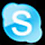 Skype Logo