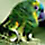 BirdFrog photoshop tutorial