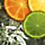 Create a Citrus Fruit Design From Scratch in Photoshop