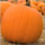 How to Carve a Pumpkin with Photoshop