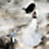 Never bride photomanipulation