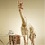 Undress a Giraffe in Photoshop 