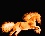 Add Fire On Horse With Brushes in Adobe Photoshop