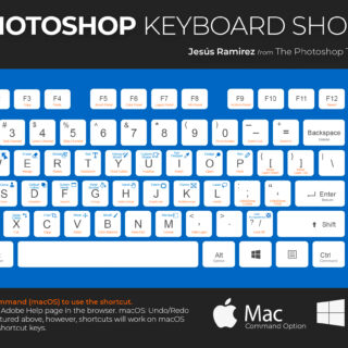 The Key Differences Between Photoshop and Photoshop Elements 2025