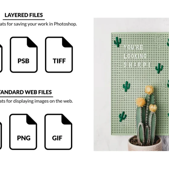 How to Organize Your Photoshop Files for Maximum Efficiency