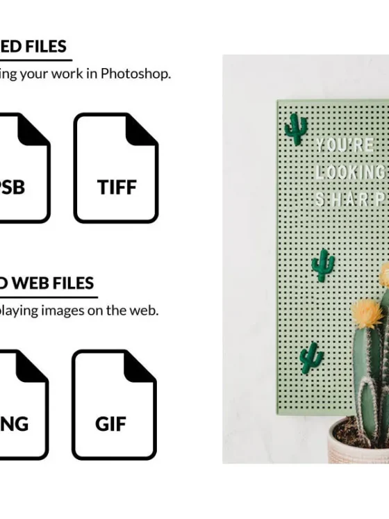 How to Organize Your Photoshop Files for Maximum Efficiency