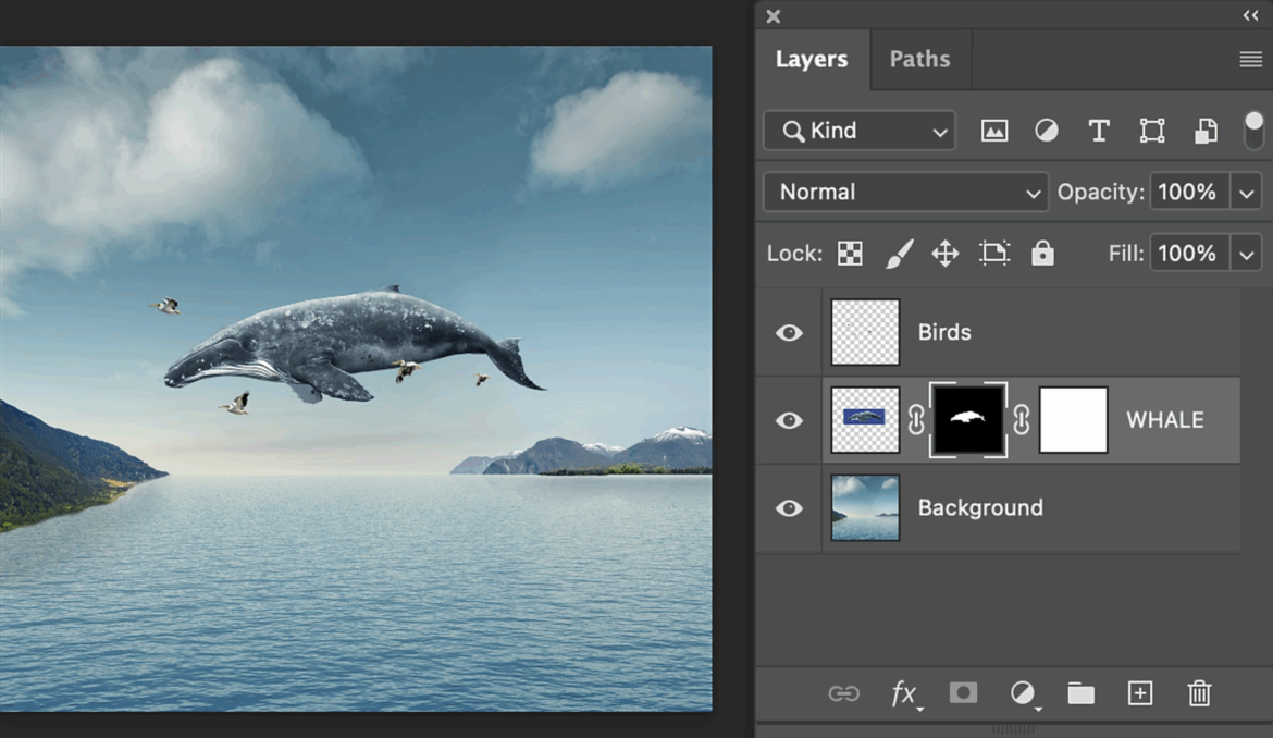Layer Mask