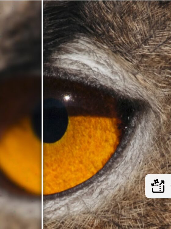 Generative Upscale: The New One-Click Fix for Low-Res Client Photos