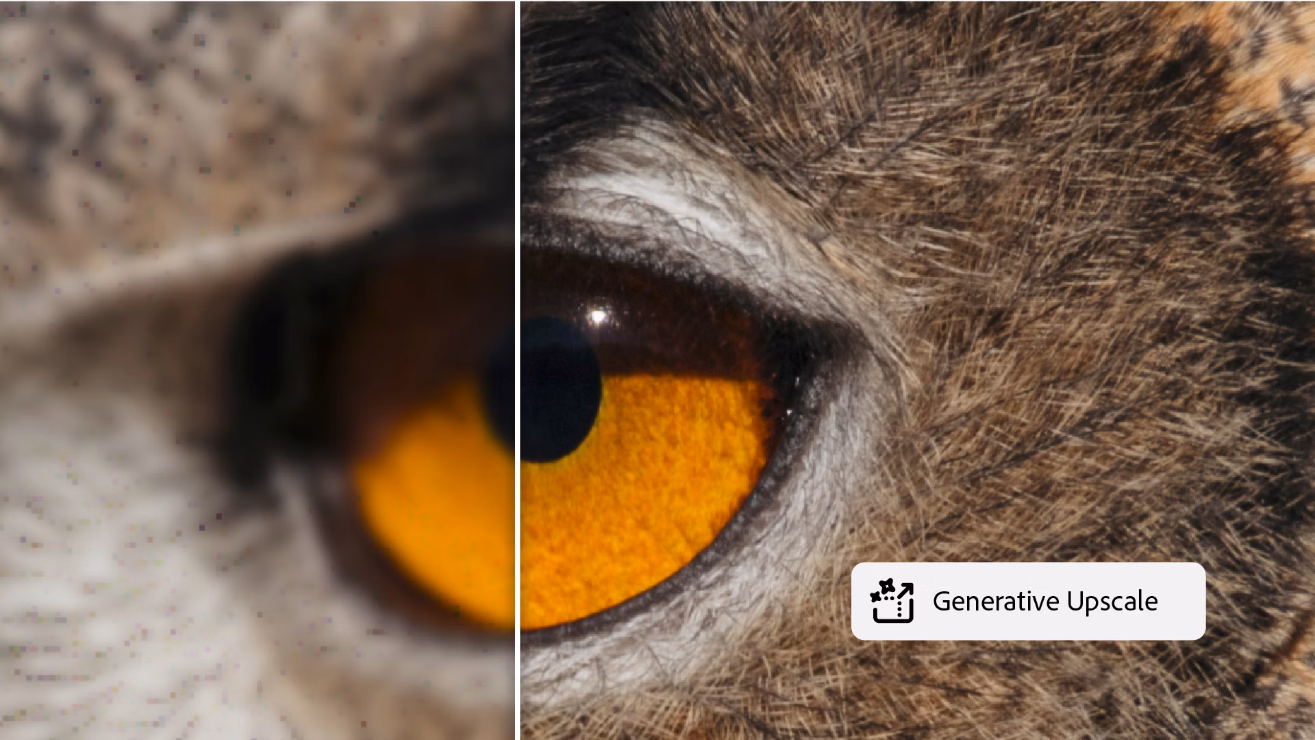 Generative Upscale: The New One-Click Fix for Low-Res Client Photos